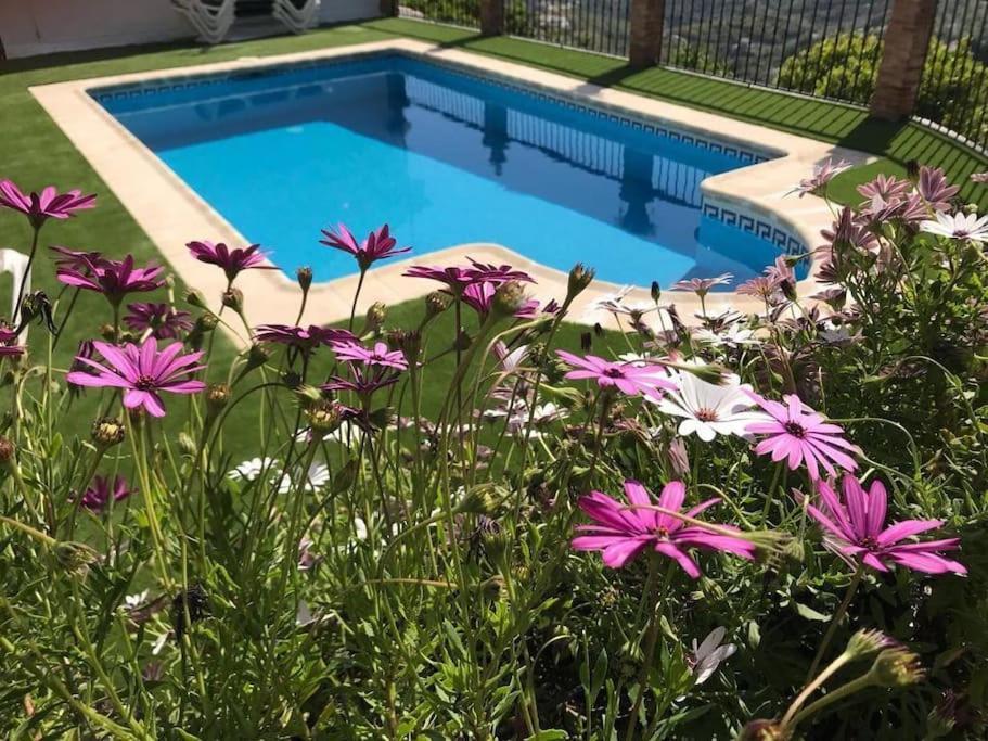 Villa En Frigiliana Con Piscina Y Jacuzzi Ngoại thất bức ảnh